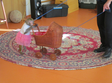 img-1510.JPG