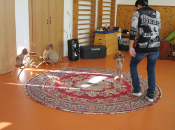 img-1515.JPG