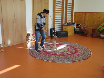 img-1516.JPG