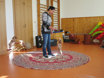 img-1521.JPG
