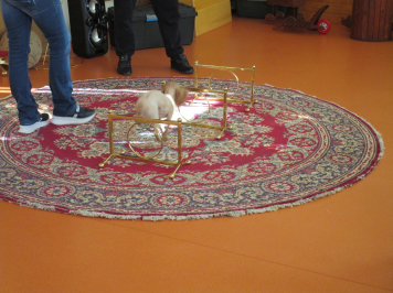 img-1525.JPG