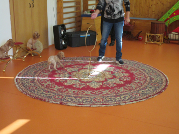 img-1527.JPG