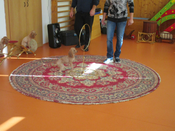 img-1529.JPG