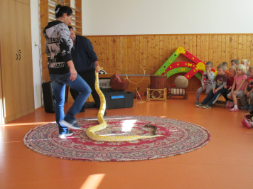 img-1534.JPG