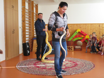 img-1535.JPG