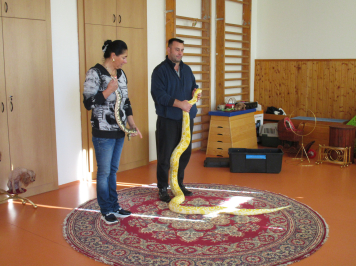img-1537.JPG