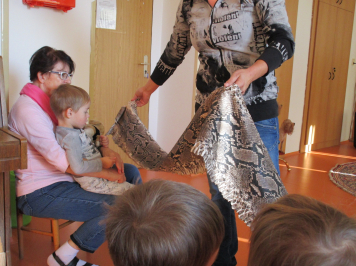 img-1542.JPG