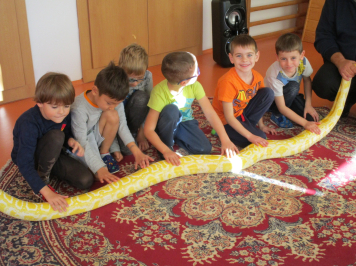 img-1556.JPG