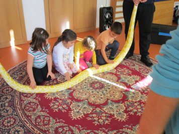 img-1557.JPG