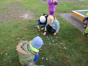 img-3769.JPG