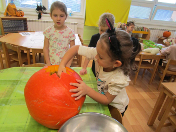 img-1732.JPG