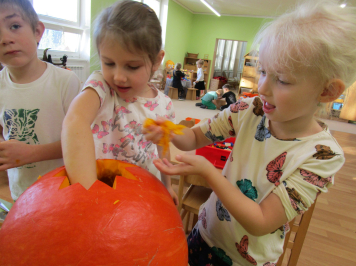 img-1759.JPG