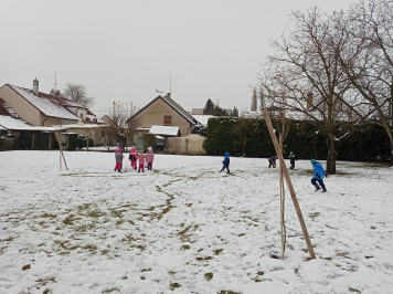 img-20211130-104124-8.jpg