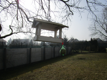 img-1810.JPG