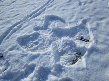 img-1746.JPG