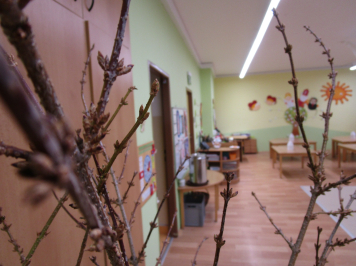 img-1908.JPG