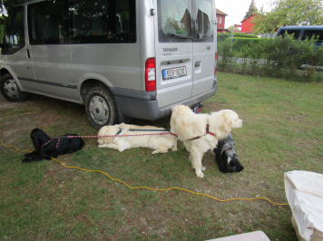 img-3377.JPG