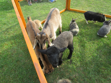 img-3388.JPG