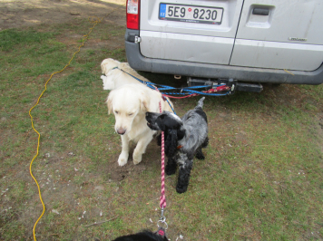 img-3389.JPG