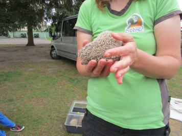 img-3395.JPG