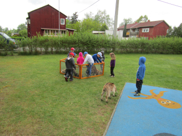 img-3421.JPG