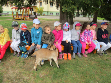 img-3424.JPG