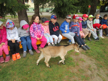 img-3425.JPG