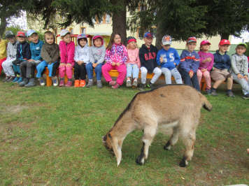 img-3426.JPG