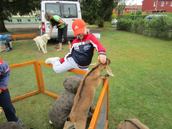img-3443.JPG