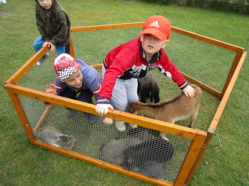 img-3444.JPG