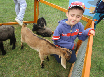 img-3445.JPG