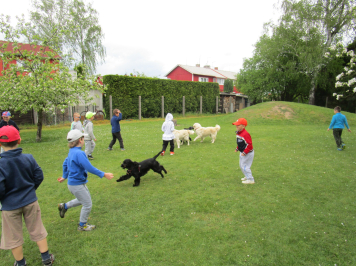 img-3446.JPG