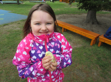 img-3451.JPG