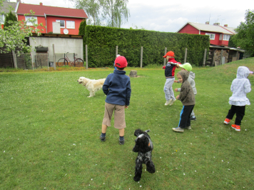 img-3453.JPG