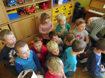 img-4210.JPG
