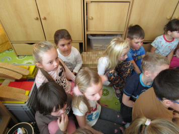 img-4259.JPG