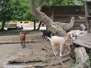 img-3876.JPG