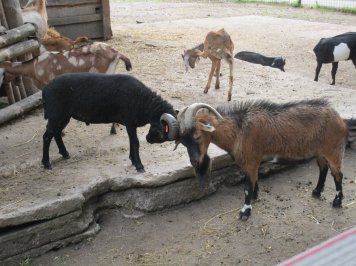 img-3880.JPG