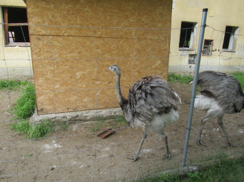 img-3887.JPG