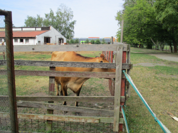 img-3892.JPG