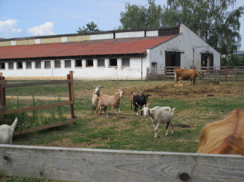 img-3894.JPG