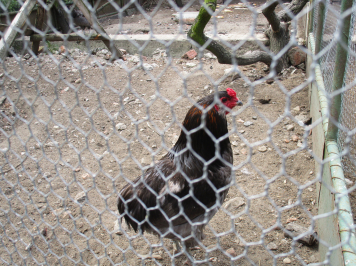 img-3896.JPG