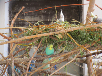 img-3938.JPG