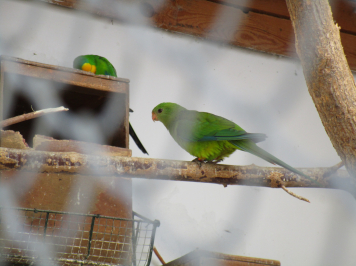 img-3939.JPG