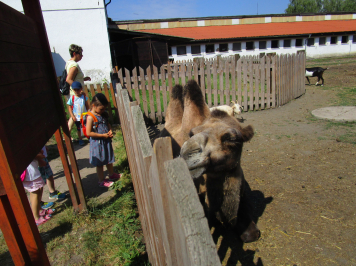 img-3944.JPG