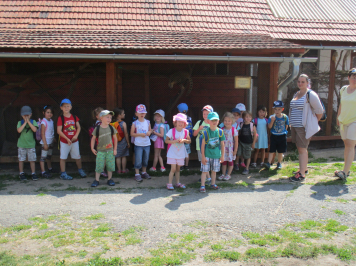 img-3949.JPG