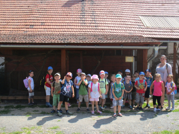 img-3950.JPG