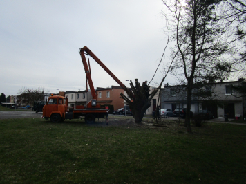 img-2324.JPG