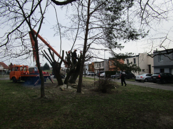 img-2325.JPG
