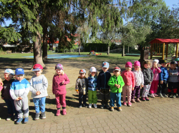 img-0348.JPG